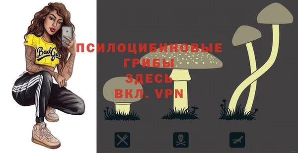 гидропоника Сатка