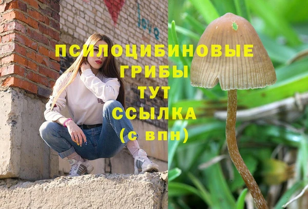 ГАЛЛЮЦИНОГЕННЫЕ ГРИБЫ Алексин