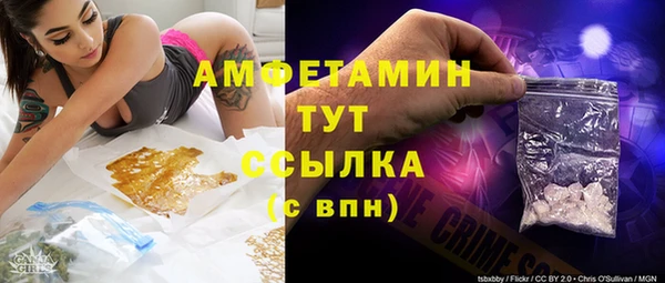 ГАЛЛЮЦИНОГЕННЫЕ ГРИБЫ Алексин