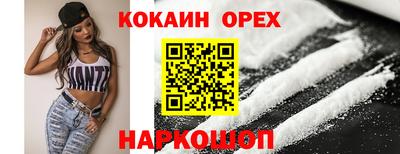 гашик Можга