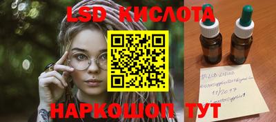 гашик Можга