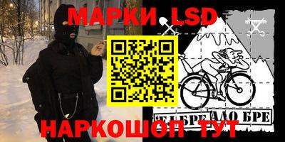 гашик Можга