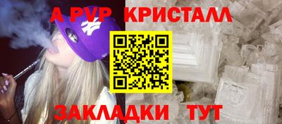 спиды Моздок