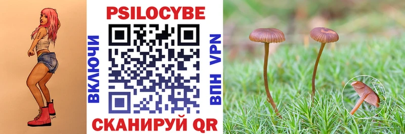 где продают наркотики  Борзя  Галлюциногенные грибы Cubensis 