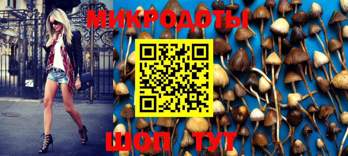 Псилоцибиновые грибы MAGIC MUSHROOMS  Псилоцибиновые грибы GOLDEN TEACHER  Вход с VPN  Борзя 