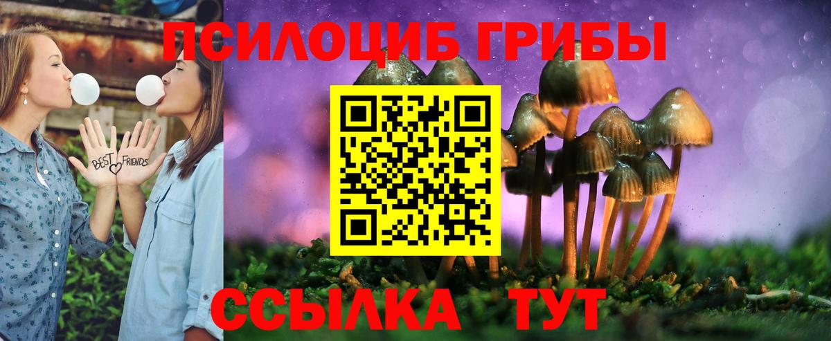 Псилоцибиновые грибы ЛСД Борзя